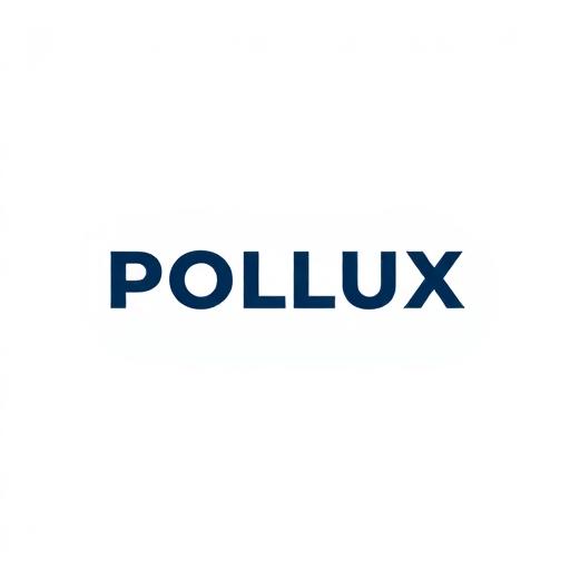 Logo de la marque de serrures Pollux — cylindres adaptables de très haute sûreté SECURIER RB-LOCKS compatibles