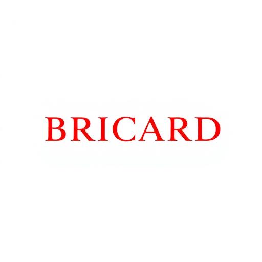 Logo de la marque de serrures Bricard — cylindres adaptables de très haute sûreté SECURIER RB-LOCKS compatibles