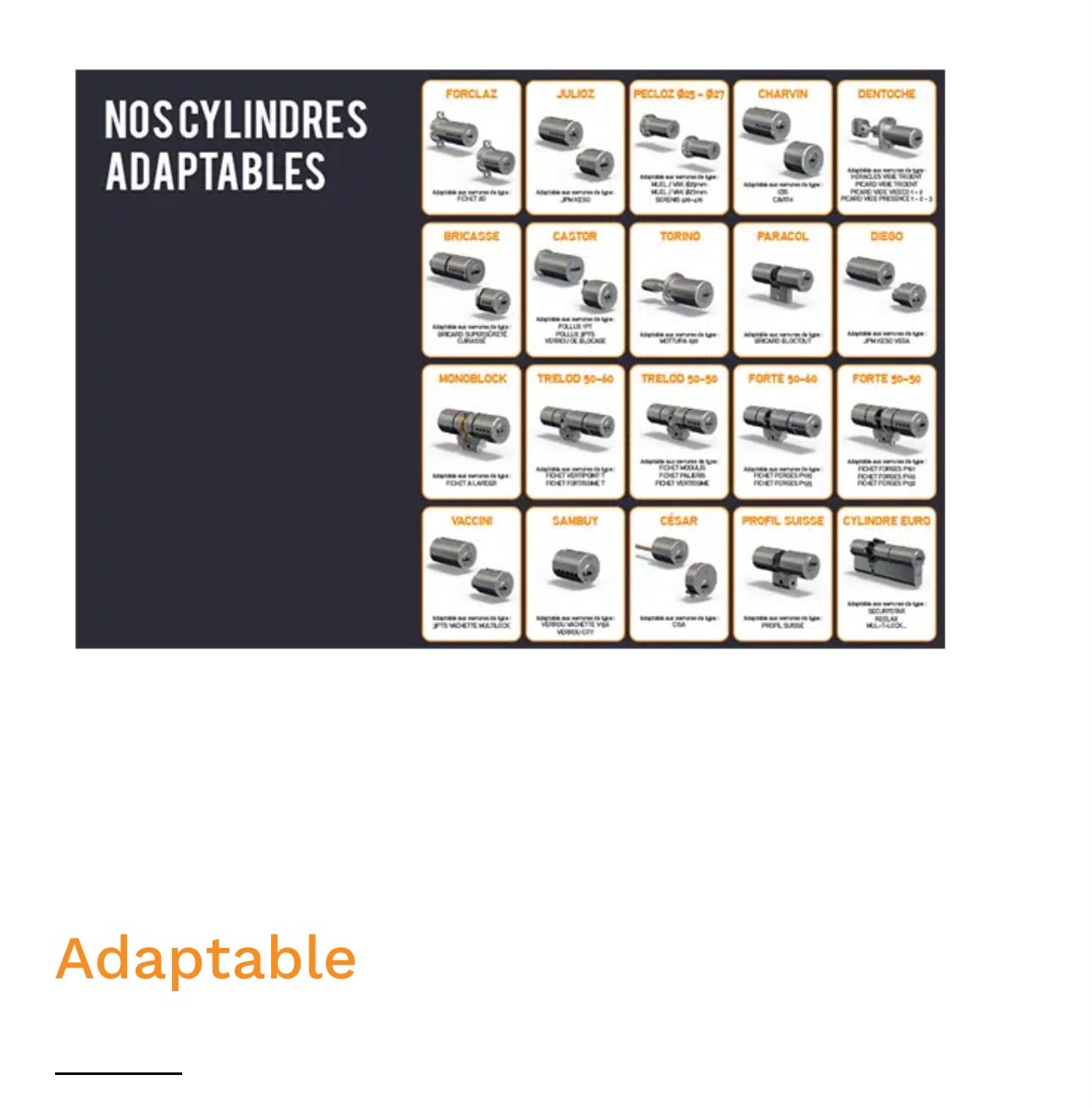 Planche de la gamme complète des cylindres adaptables de très haute sûreté SECURIER RB-LOCKS en stock à Paris 17e : Forclaz, Julioz, Pecloz, Charvin, Dentoche, Bricasse, Castor, Torino, Paracol, Diego, Monoblock, Trelod, Forte, Vaccini, Sambuy, César, Profil Suisse et Cylindre Euro
